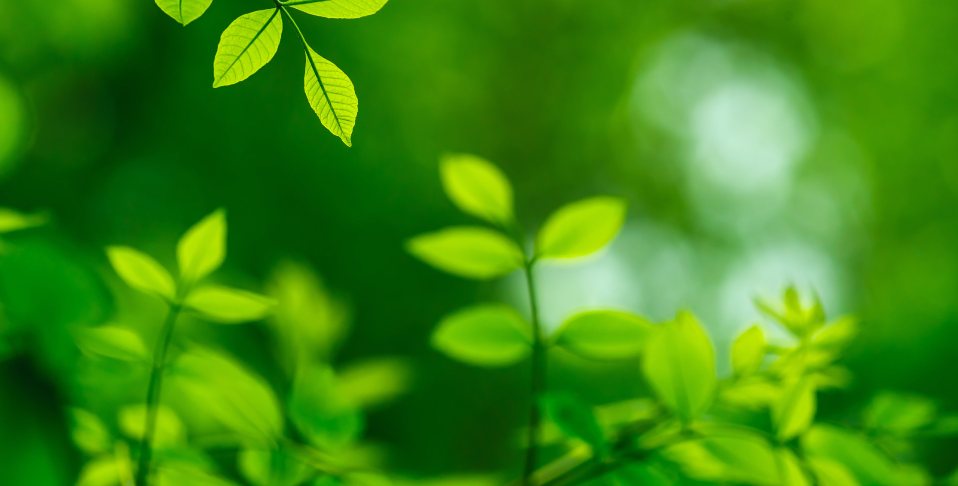 Godkjent renholdsfirma